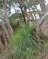 Horsfield Bay Image Four